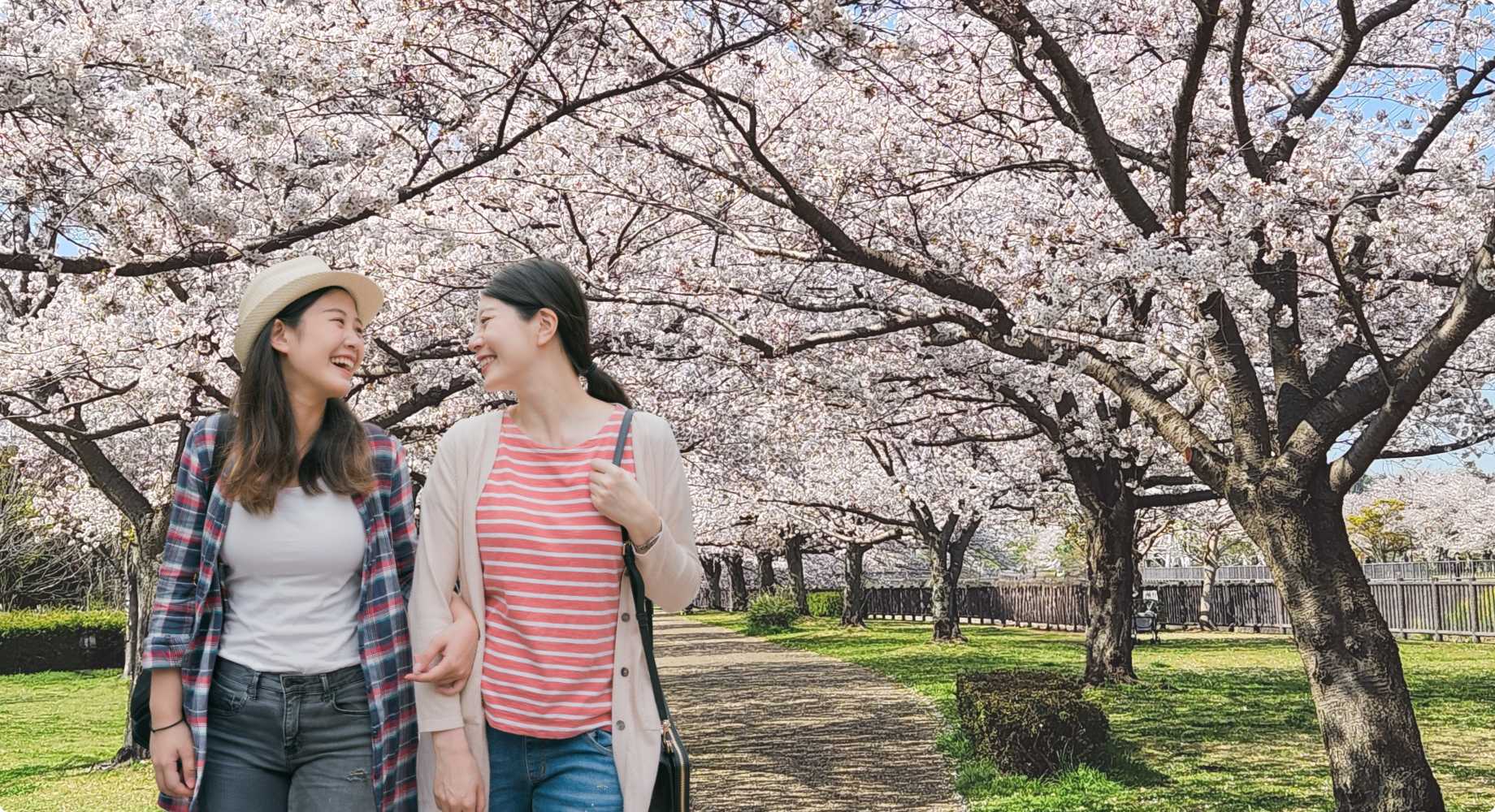 個人旅行イメージ